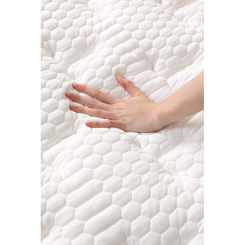 04_1346_1346_23726457